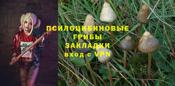 гашик Богданович
