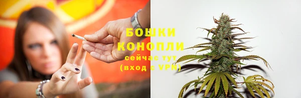 гашик Богданович