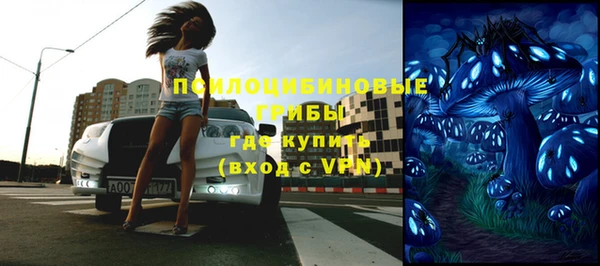 гашик Богданович