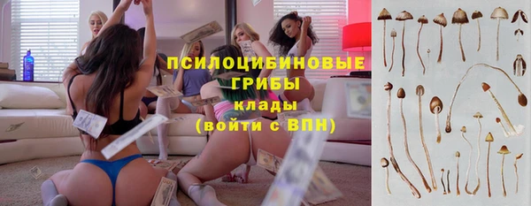 гашик Богданович